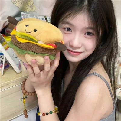 新安妮日记